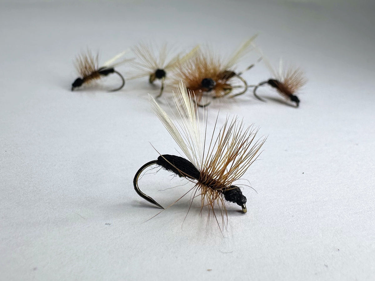 Flying Ant