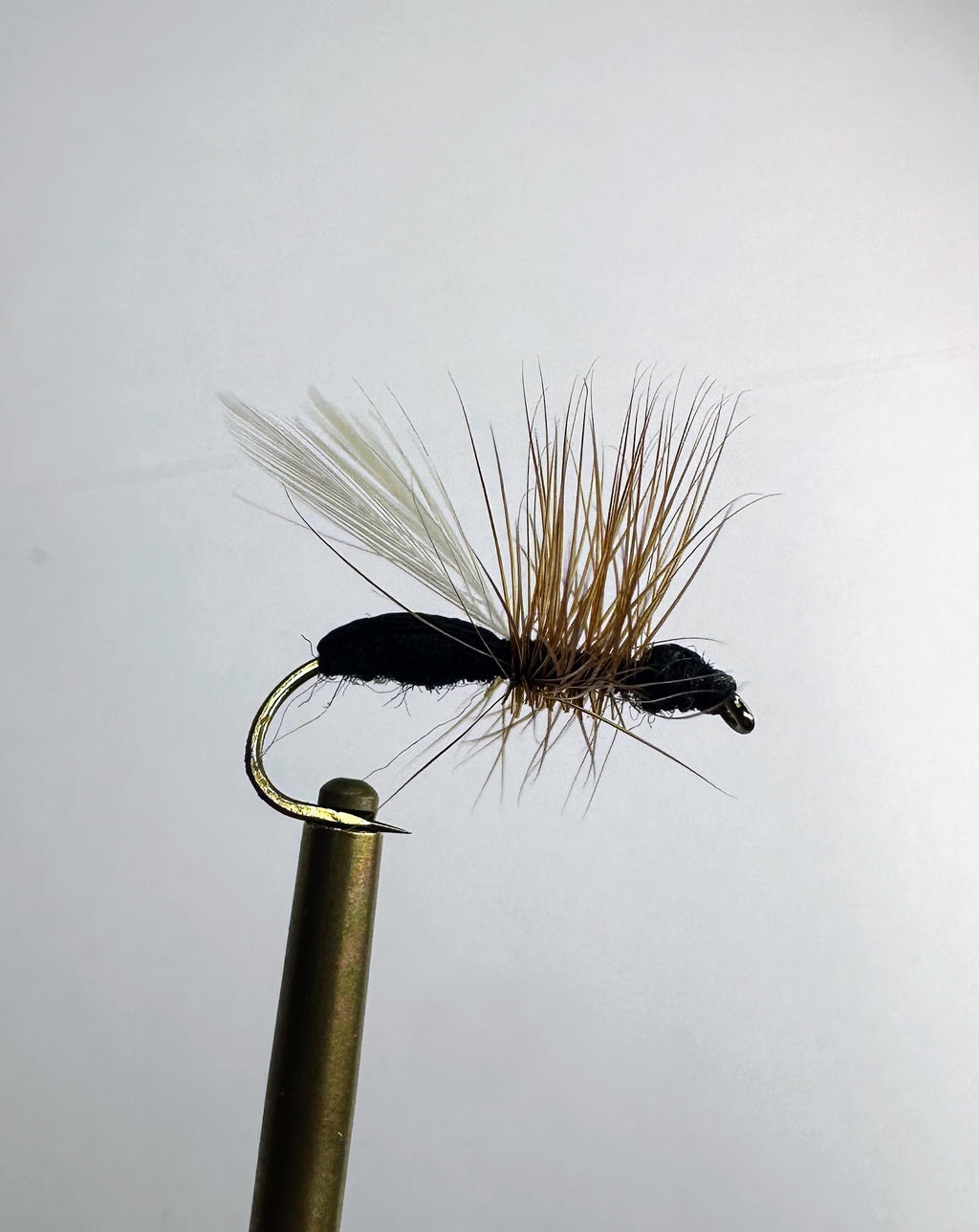 Flying Ant