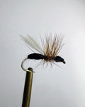 Flying Ant