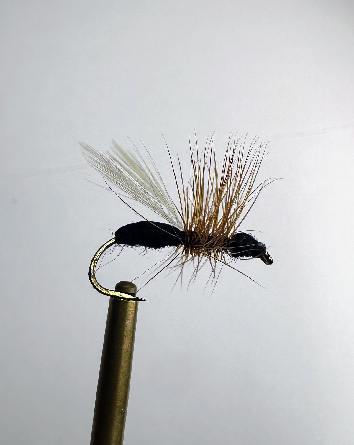 Flying Ant