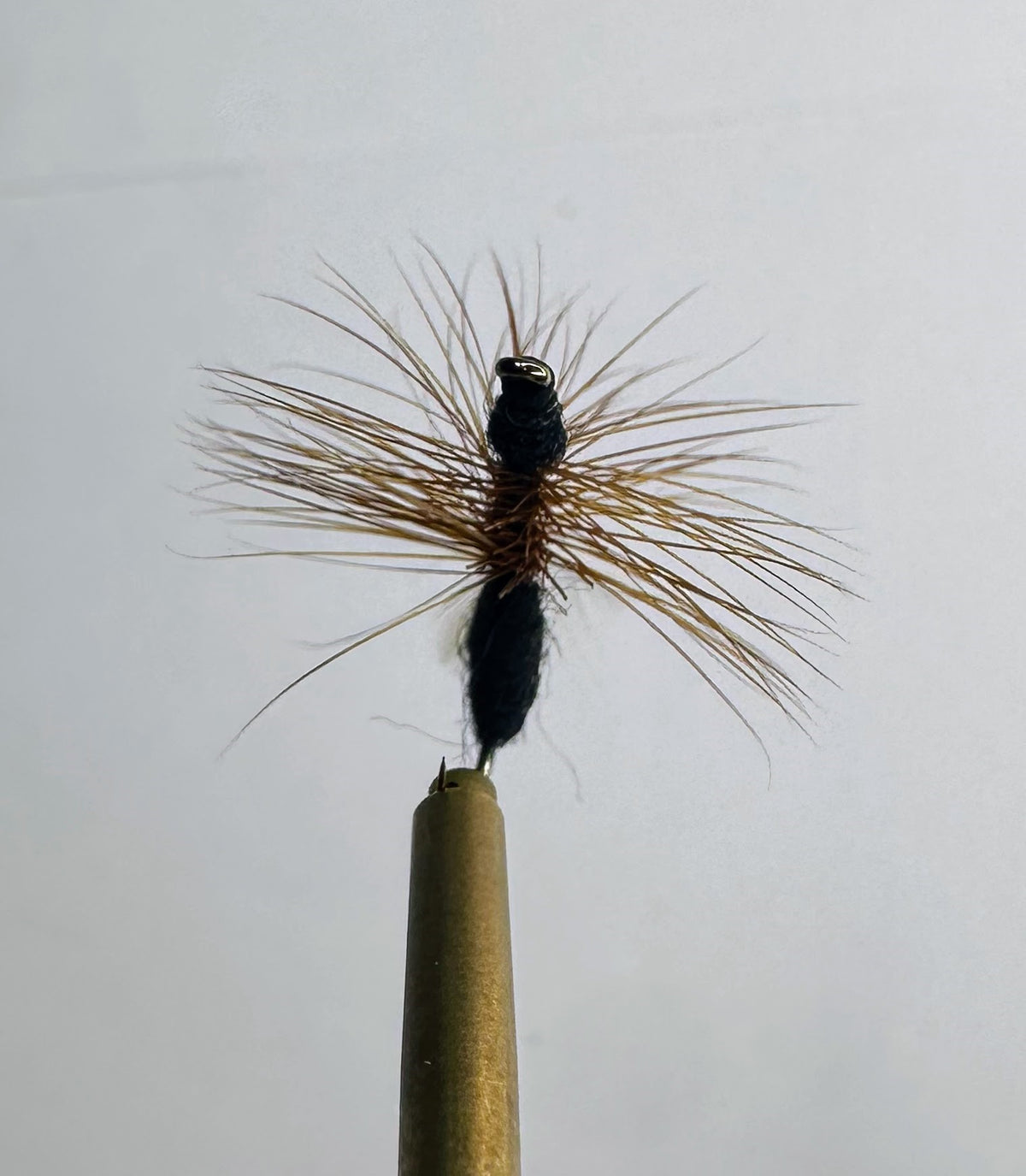 Flying Ant