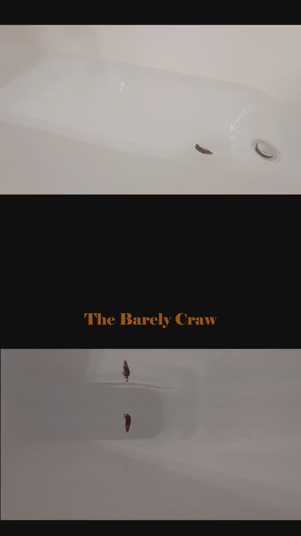 The Barely Craw