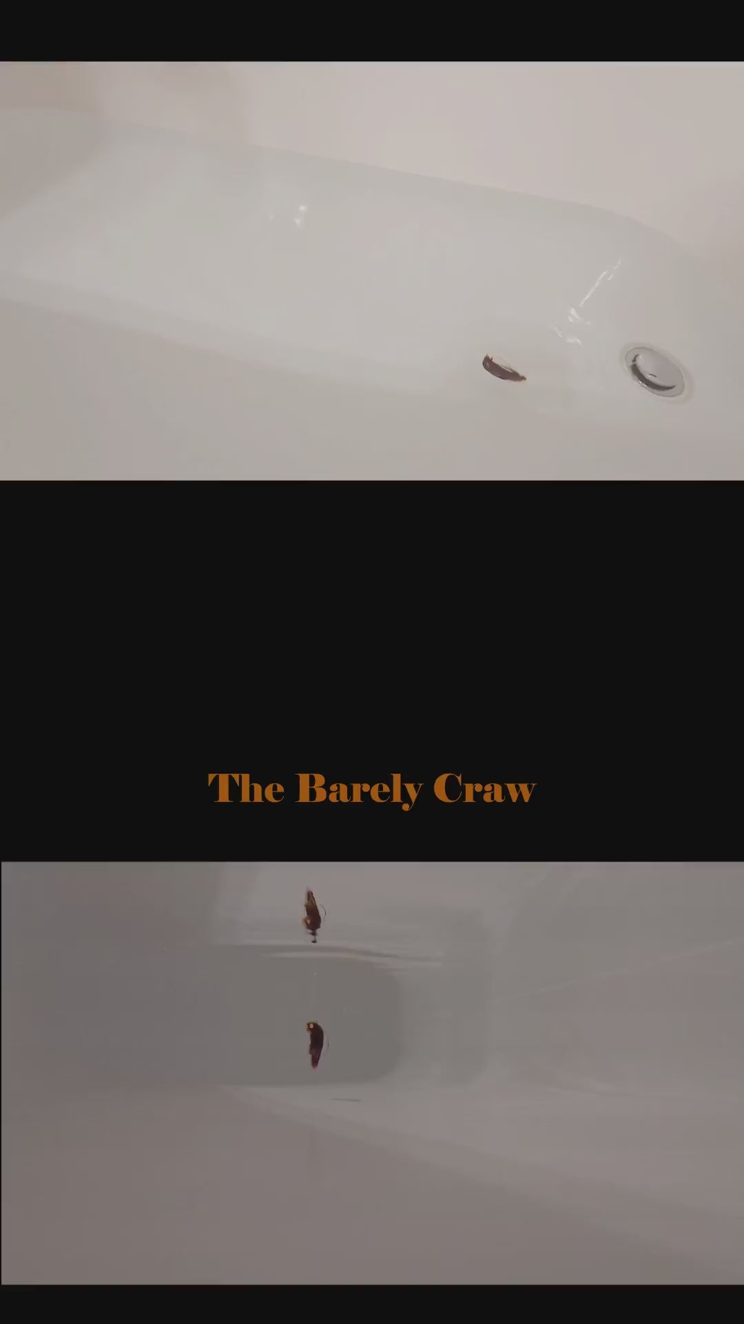 The Barely Craw